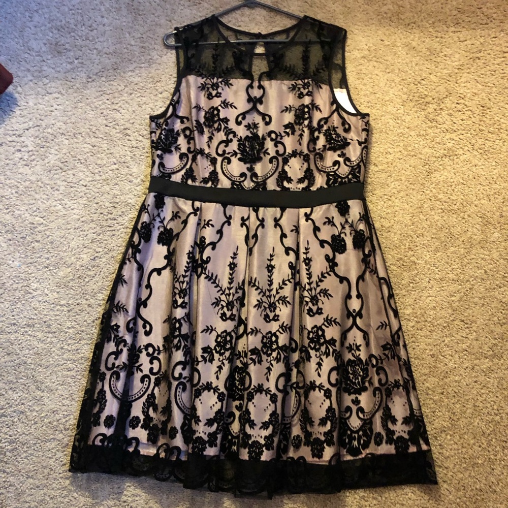 Formal Dress from Roz&Ali Size 16